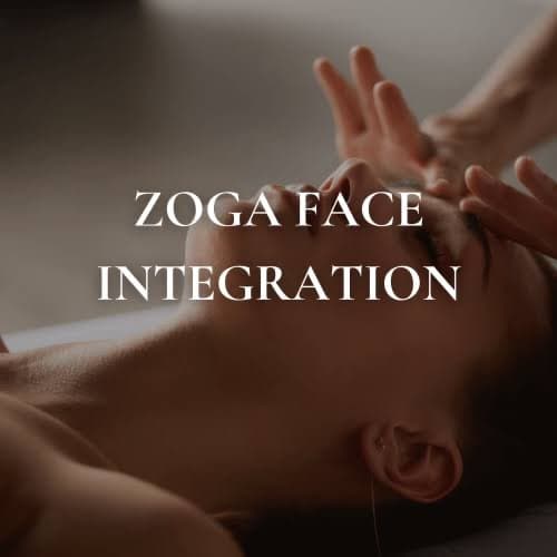 ZOGA Face Integration System at SKINTASTIK SPA in Chicago, IL